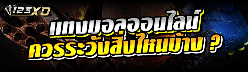 แทงบอลออนไลน์ ควรระวังสิ่งไหนบ