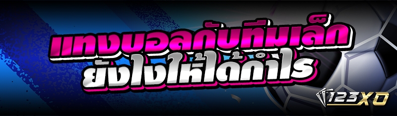 แทงบอลกับทีมเล็กยังไงให้ได้กำไ