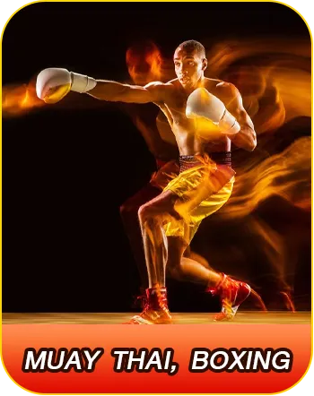 มวยไทย, มวยสากล