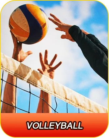วอลเลย์บอล